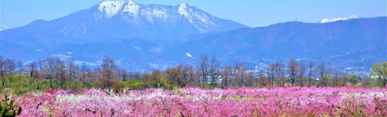 長野県須坂市